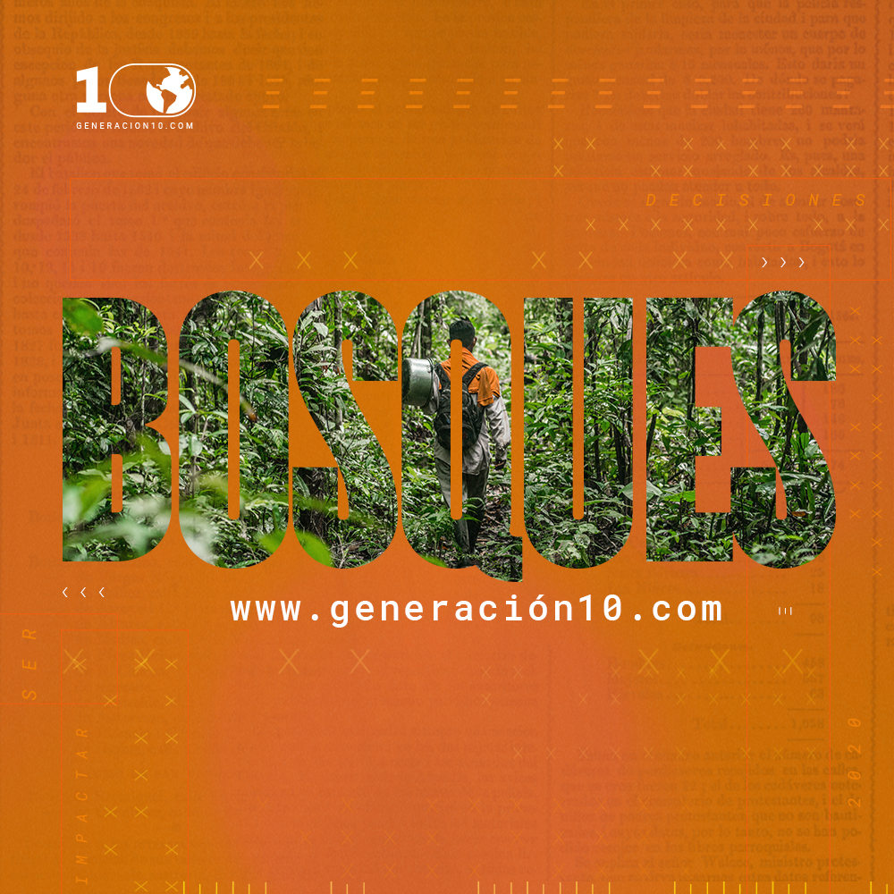 G10_bosque