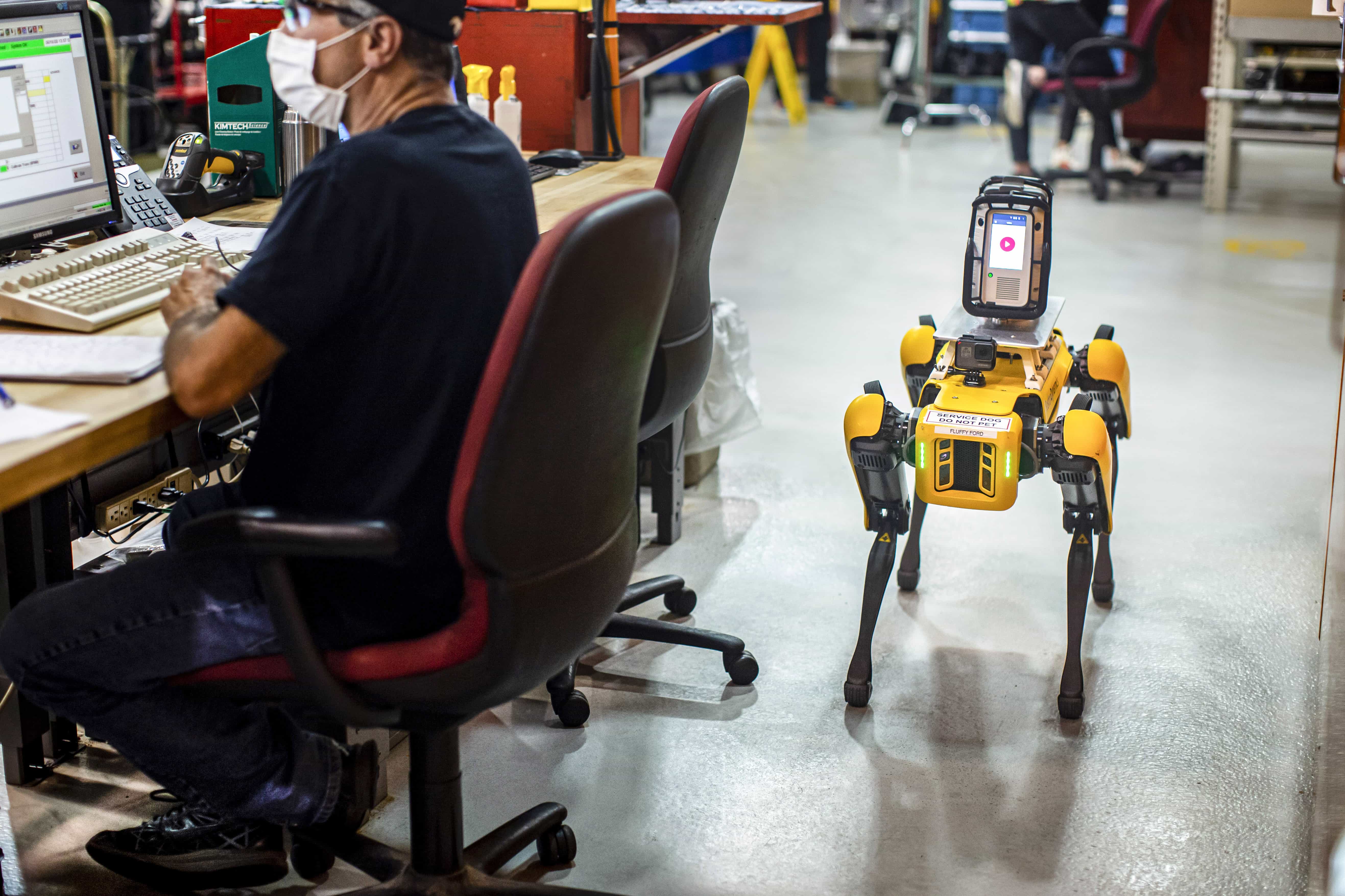 Perros robot de Ford (5)