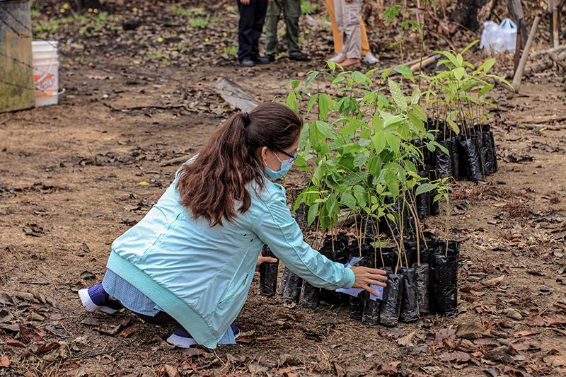 Una niña se agacha para cuidar plantas en macetas negras en un ambiente natural, mientras otras personas están al fondo.