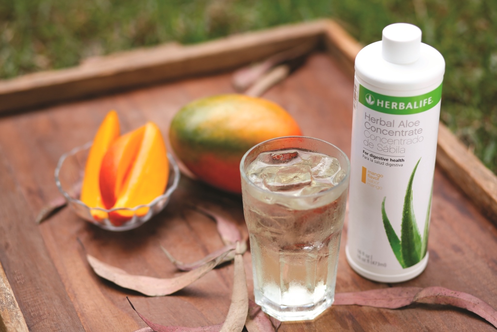 Aloe Vera beneficios para el bienestar intestinal, la buena digestión