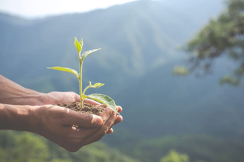 Manos sosteniendo una pequeña planta con tierra, con un paisaje montañoso desenfocado al fondo.