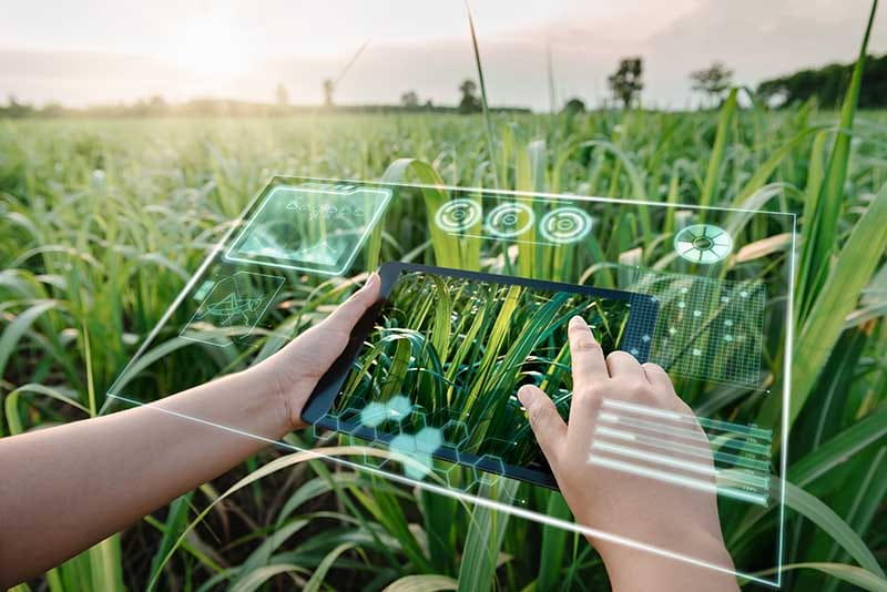 Personas usando una tablet en un campo con gráficos sobre la agricultura sostenible y tecnología.