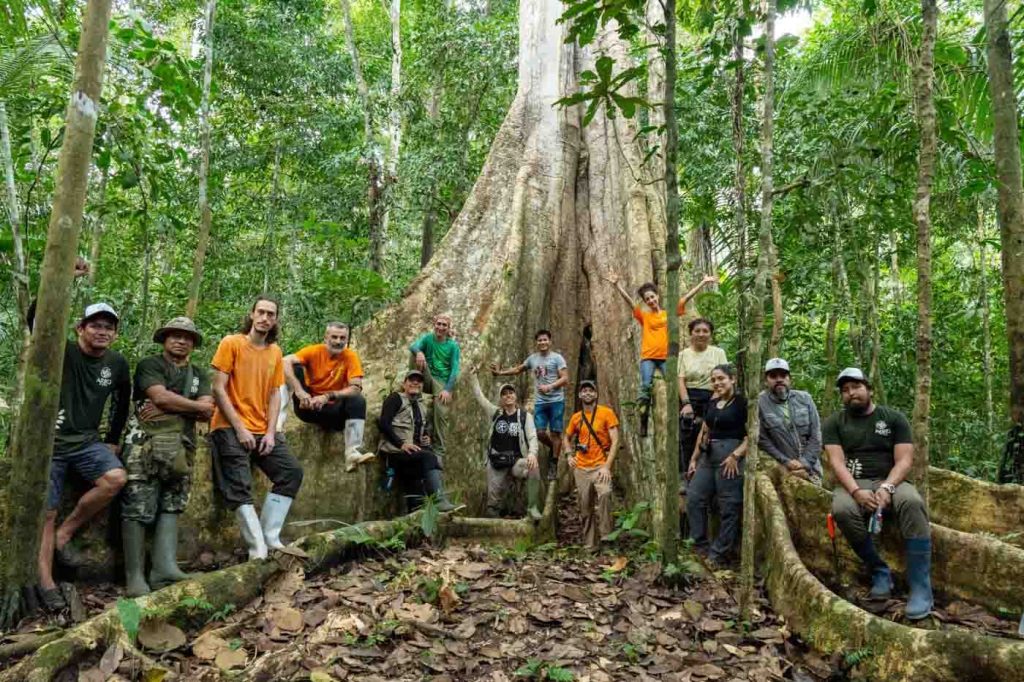 Grupo de personas posando frente a un árbol gigante en la selva amazónica, destacando la colaboración en la conservación y educación ambiental.