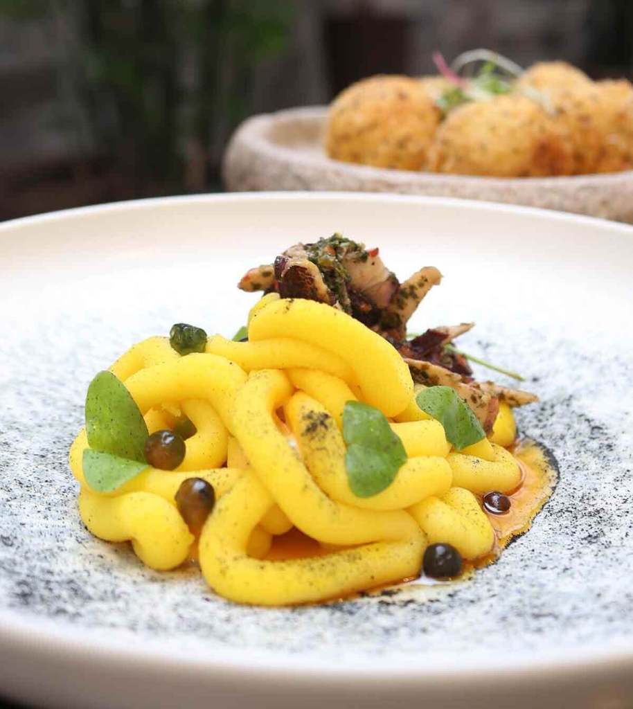 Plato de pasta amarilla con hierbas y trozos de pulpo, presentado en un plato blanco con decoración de puré negro.