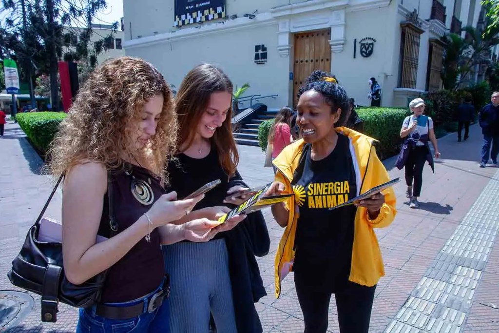 Activistas de Sinergia Animal distribuyen folletos informativos sobre las condiciones de vida de gallinas ponedoras en Lima, mientras tres mujeres interactúan en la calle.