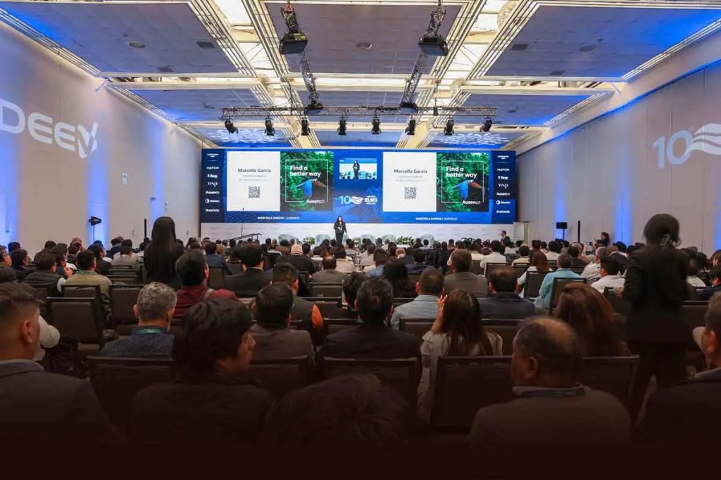 Asistente al 10° Congreso de Relaves, donde Marcella García de Ausenco presenta la metodología MTM-TSF ante un público atento en un auditorio.