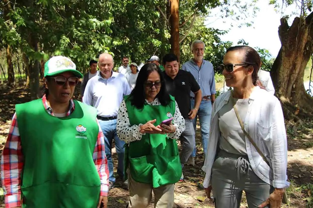 Un grupo de personas camina por un área reforestada en la Amazonía peruana, observando y monitoreando el entorno. Algunas llevan chalecos verdes y están involucradas en un proyecto de reforestación.