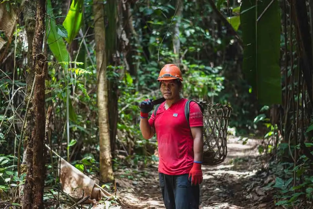Hombre con casco naranja y guantes rojos caminando por un sendero en la selva, llevando una cesta de carga en la espalda.