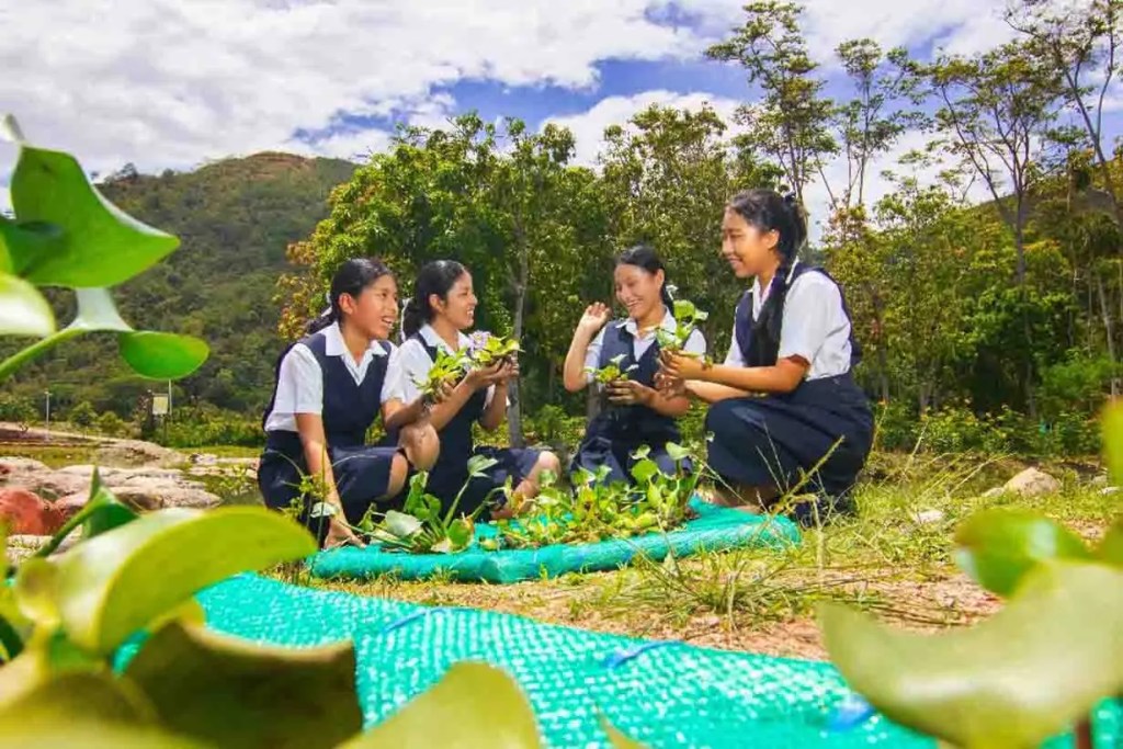 Cuatro estudiantes en uniforme escolar conversando y plantando vegetación en un entorno natural.