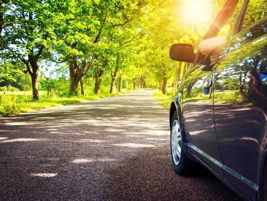 Un coche negro estacionado en un camino rodeado de árboles verdes y bien iluminado por el sol.