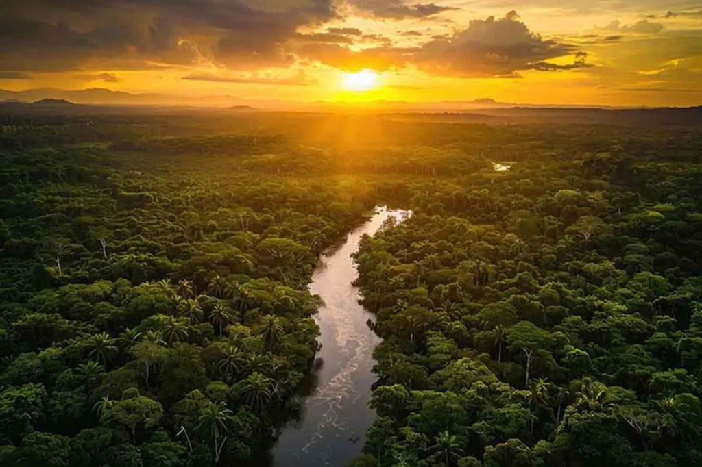 Amanecer sobre una selva densa con un río serpenteante y montañas de fondo.