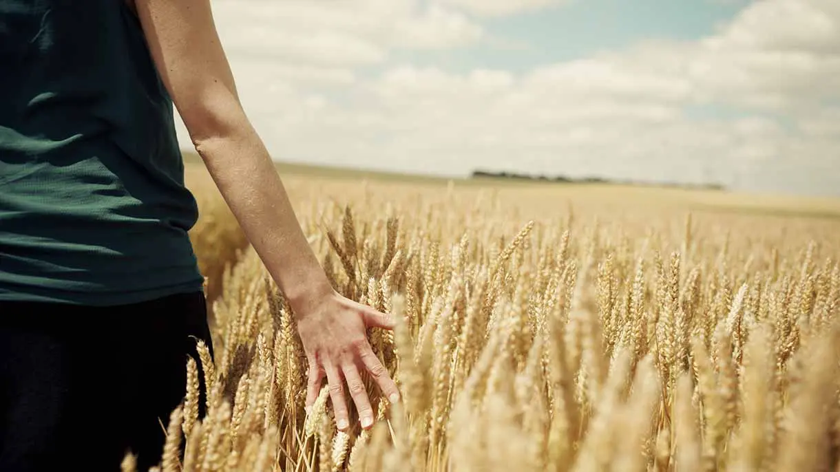 ¿Qué es la agricultura regenerativa y por qué las empresas están apostando por ella?