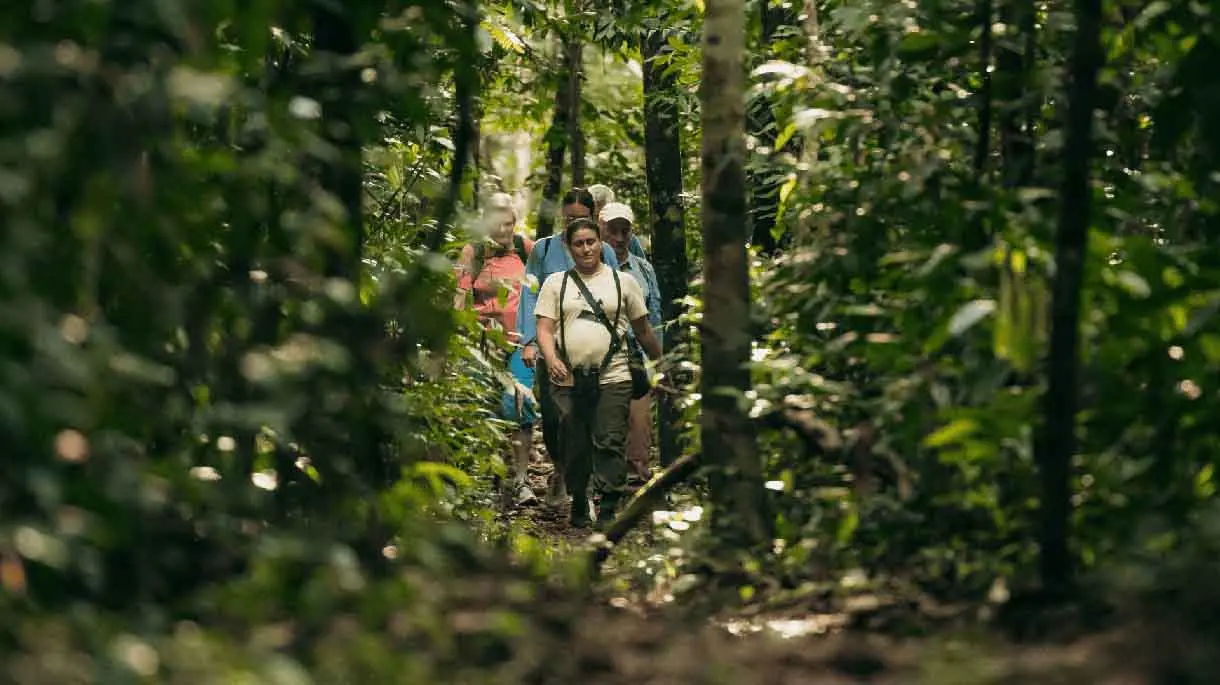 Kuaii Amazonas: donde el bosque te recibe antes de llegar en la Amazonía Peruana