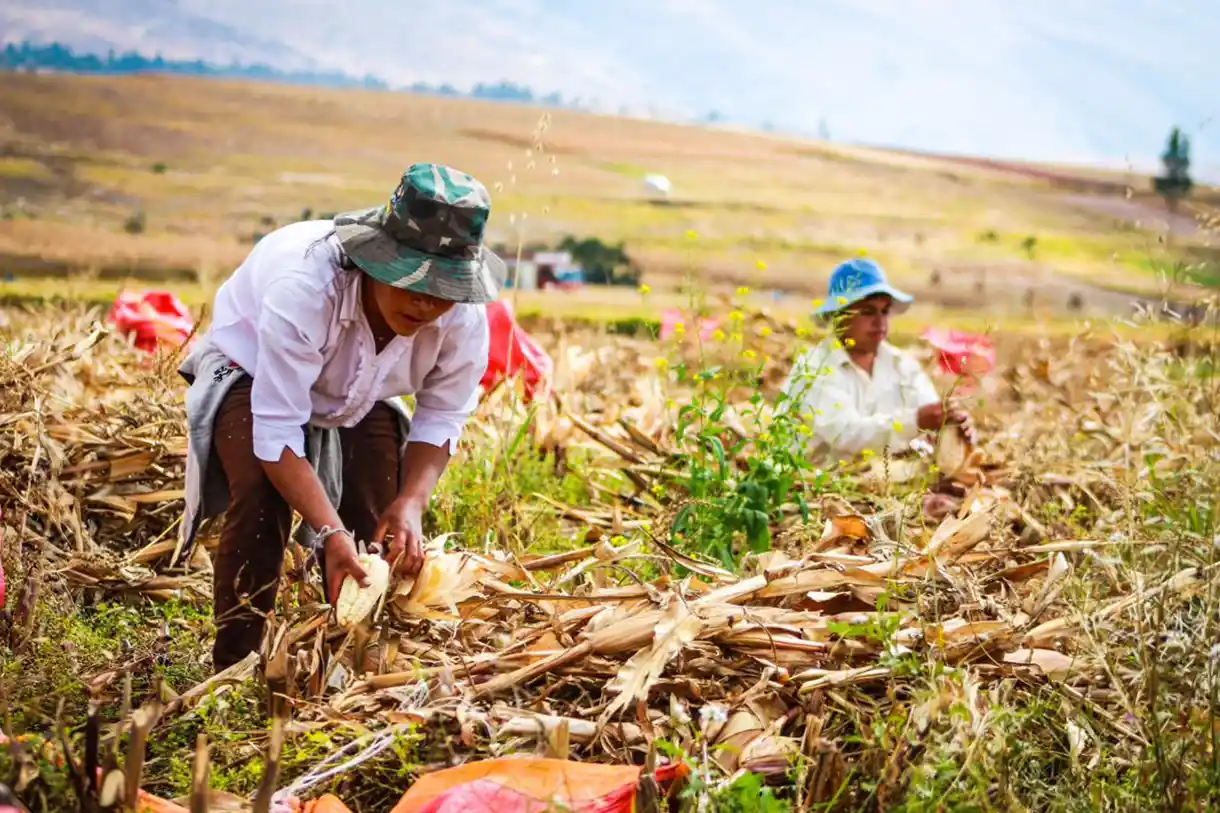 Caja Cusco registra la menor morosidad del sector y suma más de 557 mil clientes