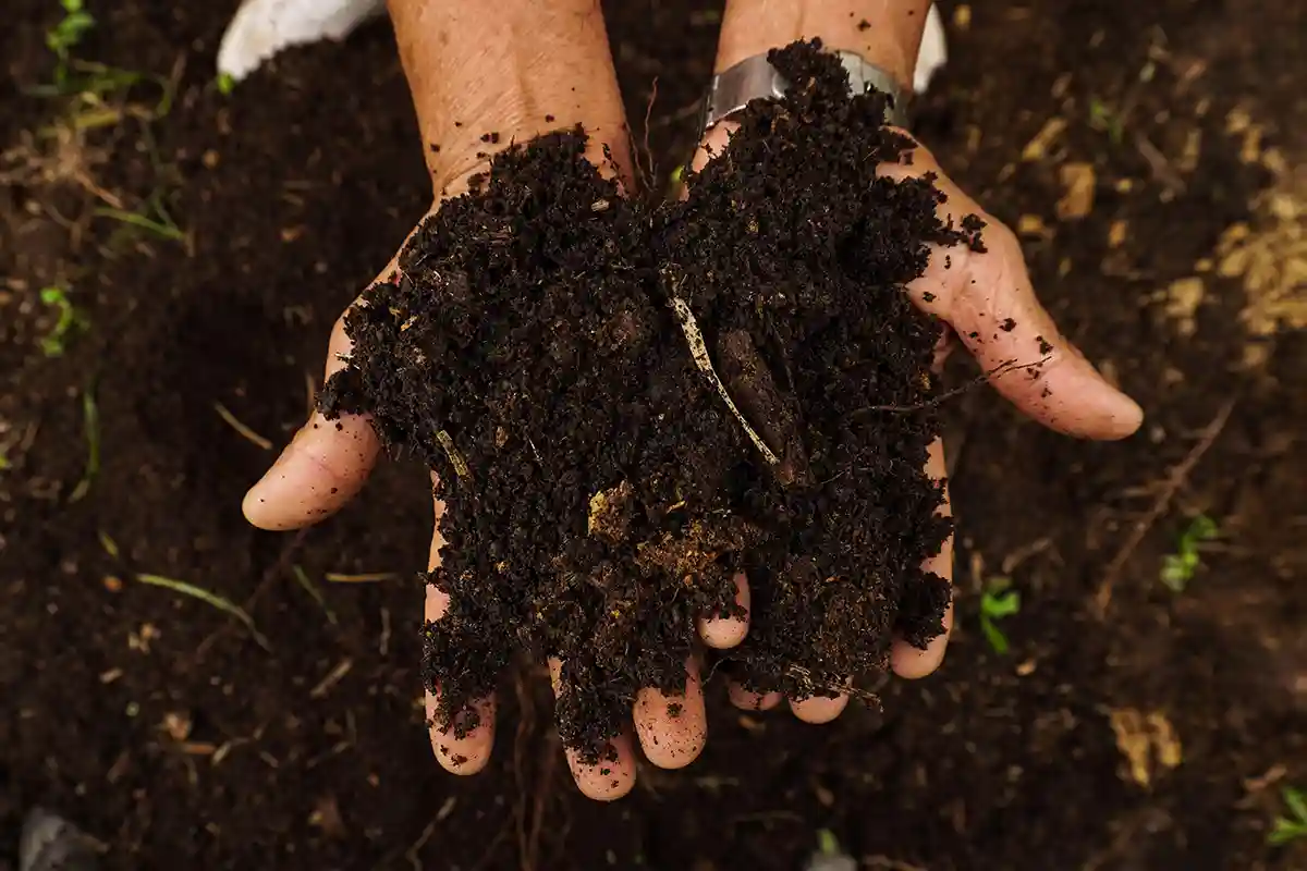 Agricultura regenerativa: cuatro claves para entender cómo ayuda a cuidar el suelo y producir alimento