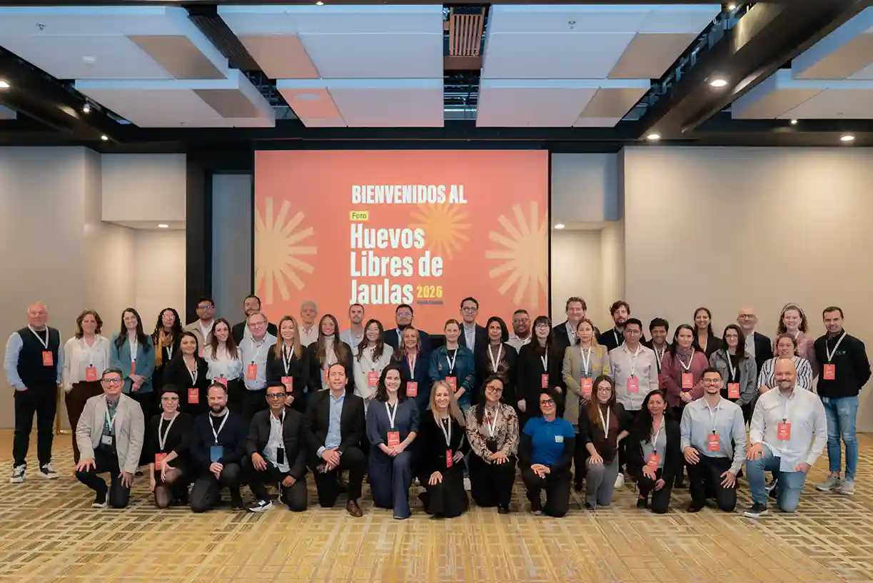 Empresas y academia impulsan la transición hacia el modelo libre de jaula en la industria del huevo